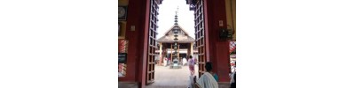 சுப்பிரமணிய சுவாமி கோயில் - ஹரிப்பாடு 